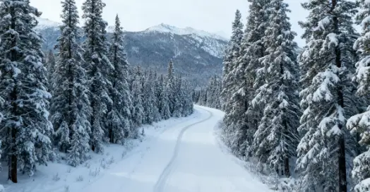 包车游玩幻灯片