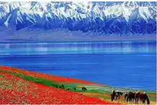 2026·半壁江山 北疆九日游 春季 小车拼车、纯玩无购物！