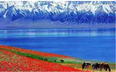 2026·半壁江山 北疆九日游 春季 小车拼车、纯玩无购物！