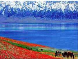 【半壁江山：拼車團(tuán)】五彩灘-禾木-喀納斯-魔鬼城-賽里木湖-那拉提草原-巴音布魯克-獨(dú)庫公路北疆9日游