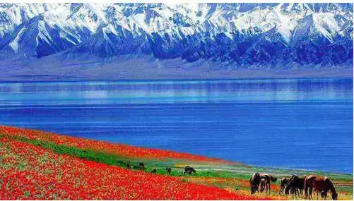 2026·半壁江山 北疆九日游 春季 小车拼车、纯玩无购物！