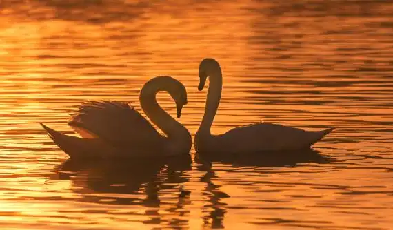 包车游玩幻灯片
