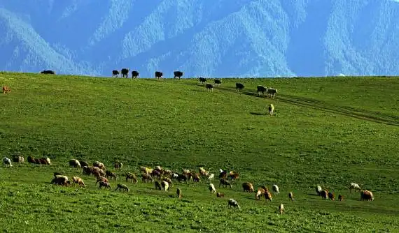 包车游玩幻灯片