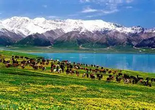 包车游玩幻灯片