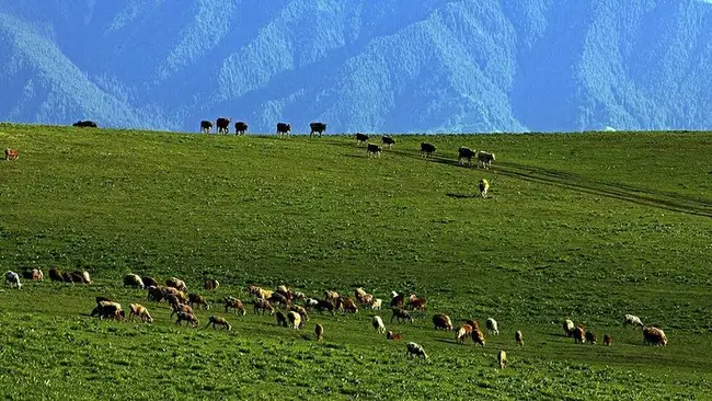 包车游玩幻灯片