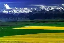 天山天池、吐鲁番、伊犁那拉提草原双卧六日游