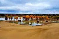 木垒胡杨林、鸣沙山二日游