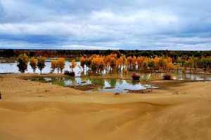 木壘胡楊林、鳴沙山二日游