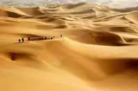 库尔勒、罗布人村寨、塔里木河胡杨林、金沙滩三日游