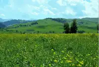 夏尔希里、赛里木湖、喀拉峻、巴音布鲁克、独库8日游