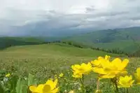 天池、吐鲁番、大峡谷、伊犁、喀纳斯、火车双卧9日游景点行程