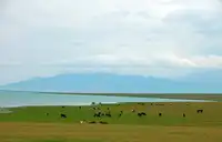 专列五号-天山天池+吐鲁番+喀纳斯+五彩滩+那拉提+赛里木湖+环北疆八日游