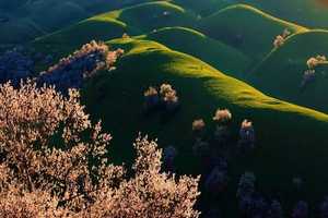 伊犁吐爾根杏花、賽里木湖、霍爾果斯口岸、喀贊其民俗旅游區(qū)火車三晚兩日游