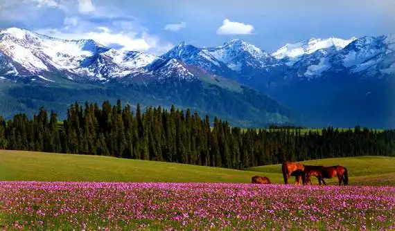 包车游玩幻灯片