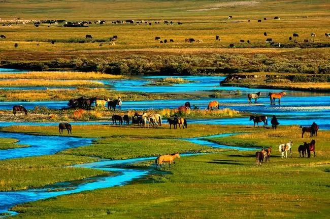 包车游玩幻灯片