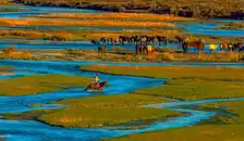 卧游2号-伊犁+那拉提+赛里木湖+巴音布鲁克+天山天池+火洲吐鲁番+野马国际（双卧）八日游