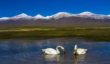 “大美新疆”北疆喀伊环线观光游列车深度游