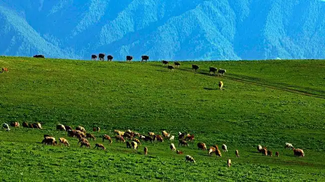 包车游玩幻灯片