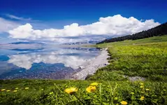 【大巴畅游北疆】五月8日纯玩大团：全程空调大巴一人一座，散客天天发！