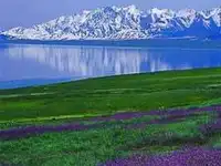 伊犁·赛里木湖、那拉提、巴音布鲁克汽车四日游