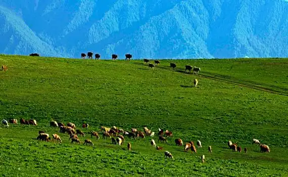 包车游玩幻灯片