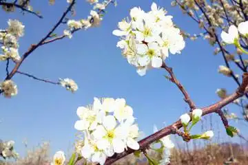 包车游玩幻灯片