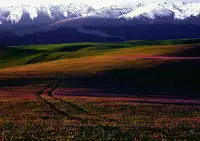 H07号-喀拉峻,赛里木湖火车双卧四日游