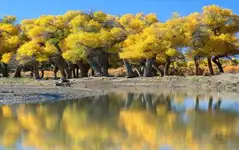 新疆罗布泊探险游：穿越罗布泊、寻梦楼兰越野探险9日