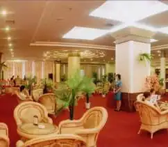 凤凰大酒店,图七