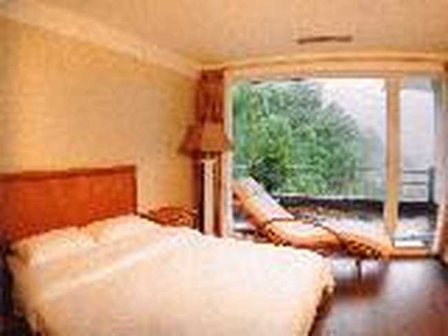 眉山国际度假会议中心(峨眉天颐温泉度假大饭店 ),图三