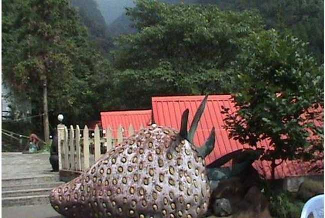 崇州市九龙沟长江长度假村,图二