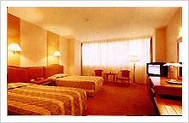 蒙顶山大酒店,图三