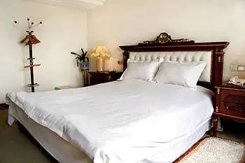 成都金河大酒店,图二