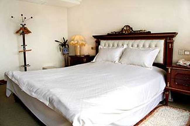 成都金河大酒店,图二