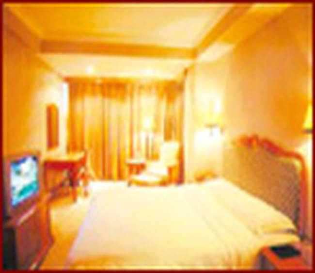 长虹大酒店,图三