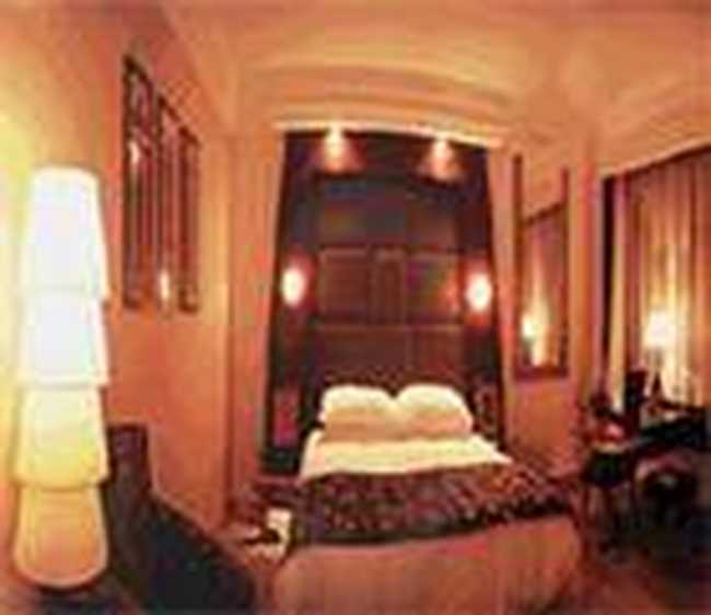 西藏桑珠孜饭店,图一