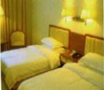 民政福利宾馆,图三