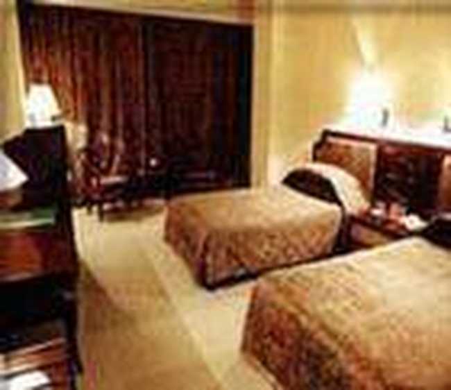 亚星大饭店,图一