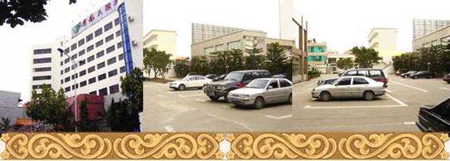 金凤大酒店,图二