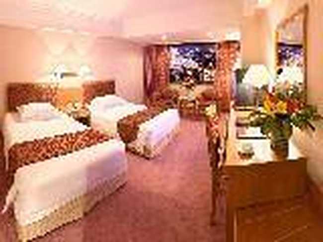 云南威龙饭店,图三