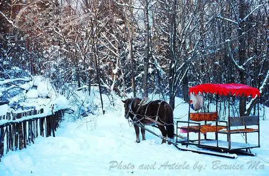 2012春节必去 国内冰雪游目的地