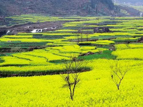 春节出游!三条自驾游线路