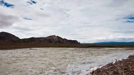 藏北高原 与野生动物亲密接触