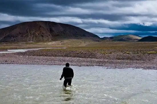 藏北高原 与野生动物亲密接触
