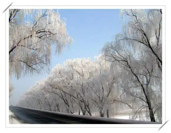 满满当当的天津自驾一日游
