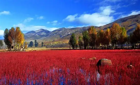 纵然心有万念 自驾穿越四川 也能心满意足