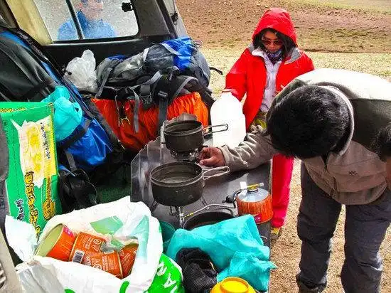 藏北高原 与野生动物亲密接触