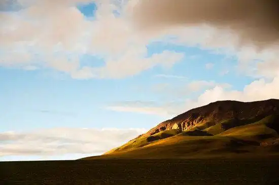 藏北高原 与野生动物亲密接触