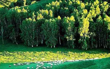 十大经典自驾旅游路线推荐