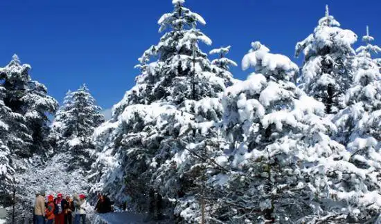 美丽峨眉山冬景迷人 峨眉山冬季旅游超强攻略